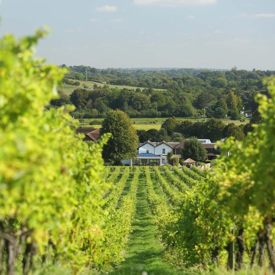 The Best UK Vineyards Where You Can Stay