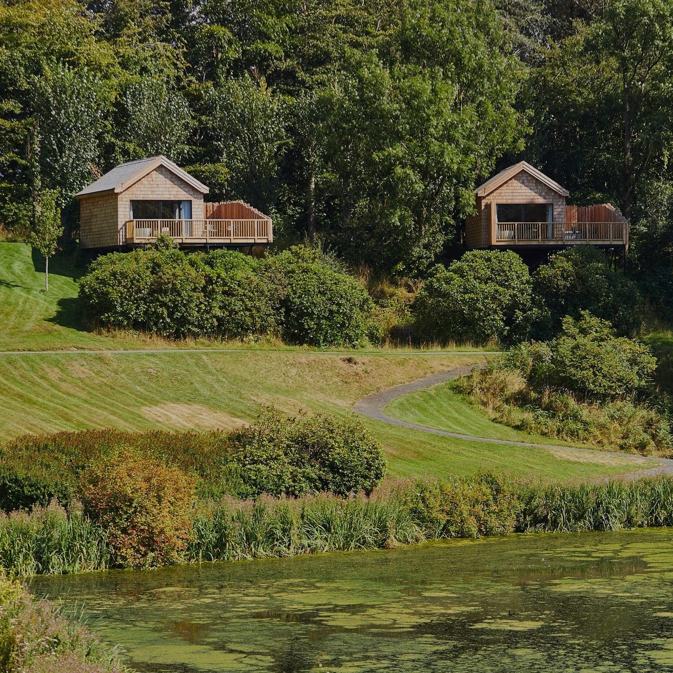 The Treehouse and Lake Side Stays To Book This Autumn